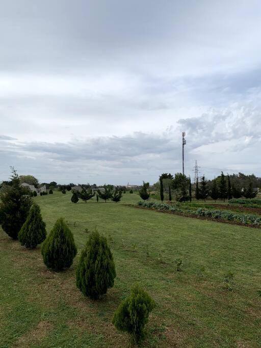 Ferienwohnung Fraschi Countryhouse Carpignano Salentino Exterior foto